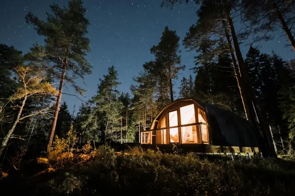 A timber cabin with glowing windows among tall pines in a boreal forest, under a starry night sky