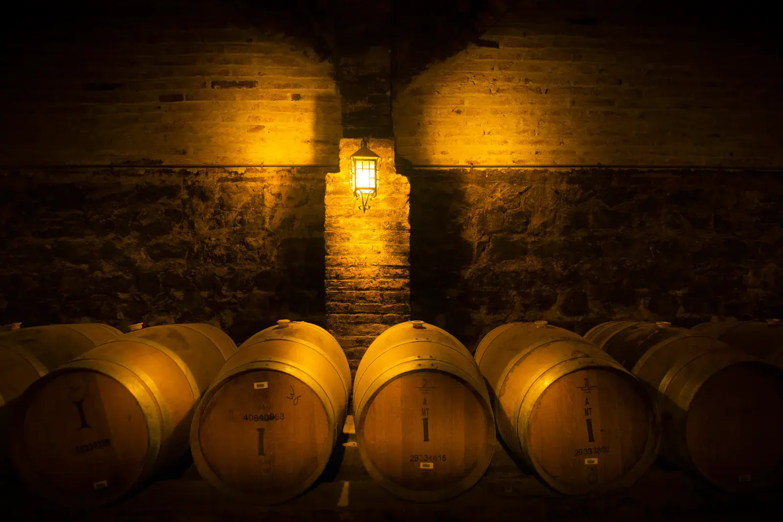 Oak barrels resting beneath a lantern in the historic brick cellar of Viña Santa Rita, Chile